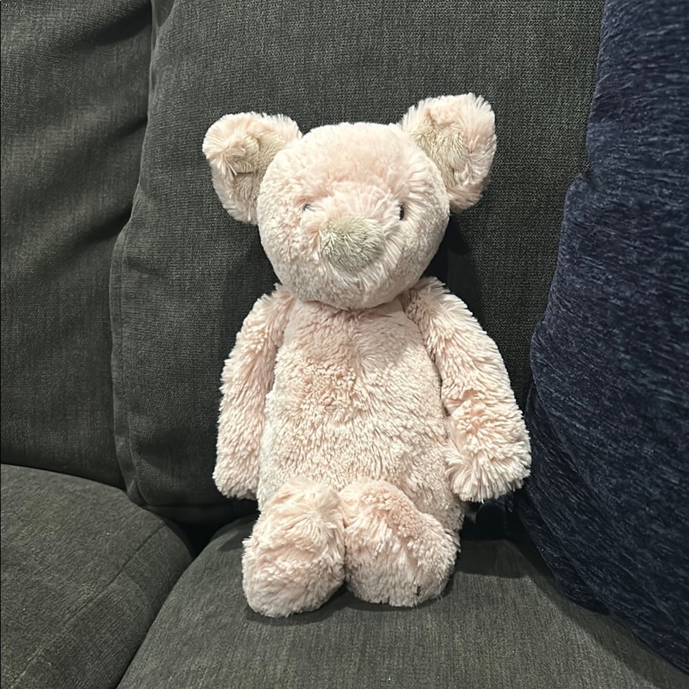 Plush Teddy Bear